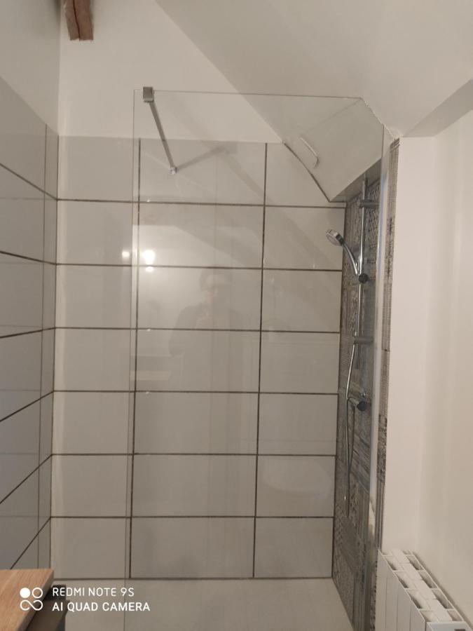 Bienvenue A La Grenouillere Villa Le Magny  Bagian luar foto